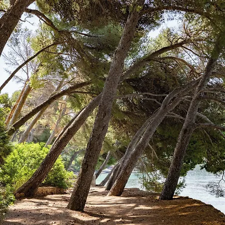 Four Seasons Mallorca At Formentor リゾート 5*