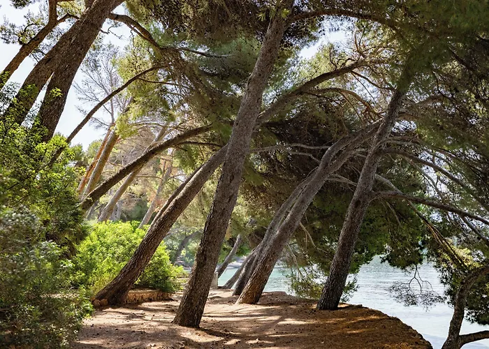 Four Seasons Mallorca At Formentor Resort 5*